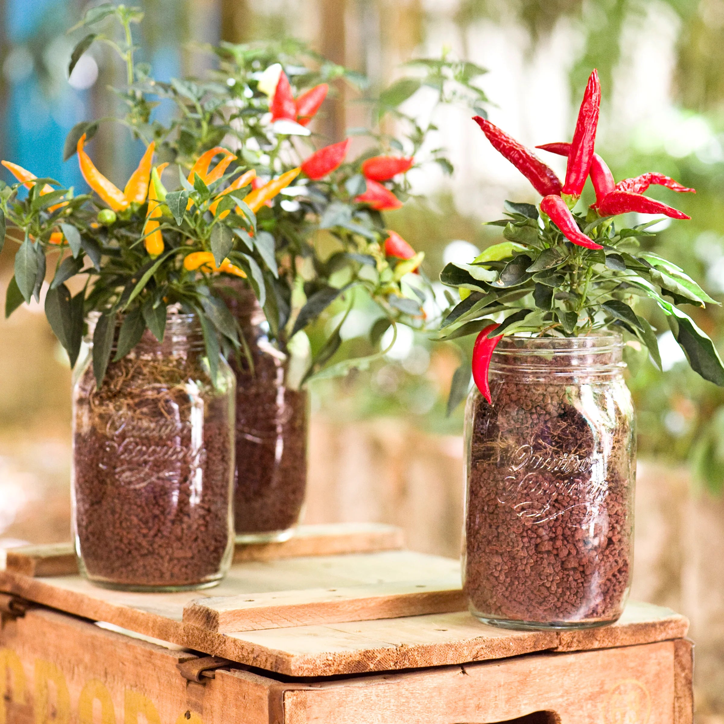 Bormioli Rocco Quattro Stagioni 150cl Canning Jar